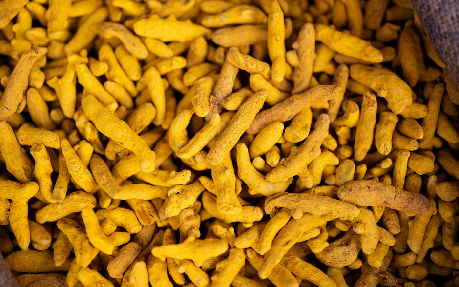 How Neem and Turmeric Cooperate to Control Active Acne